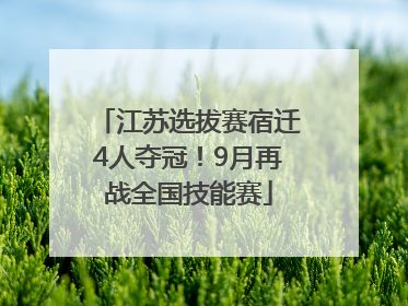 江苏选拔赛宿迁4人夺冠！9月再战全国技能赛