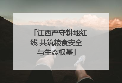 江西严守耕地红线 共筑粮食安全与生态根基