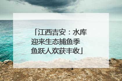 江西吉安：水库迎来生态捕鱼季 鱼跃人欢获丰收