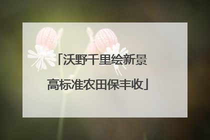 沃野千里绘新景 高标准农田保丰收