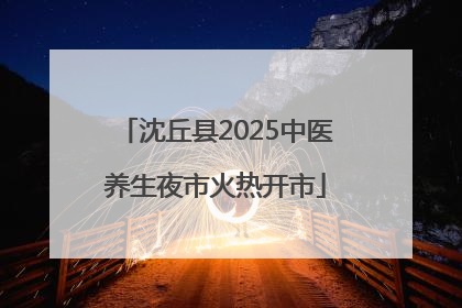 沈丘县2025中医养生夜市火热开市