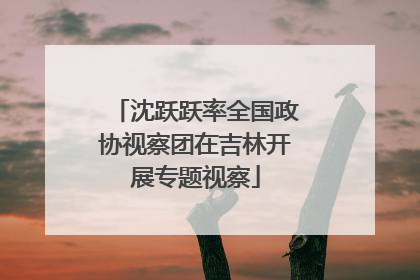 沈跃跃率全国政协视察团在吉林开展专题视察