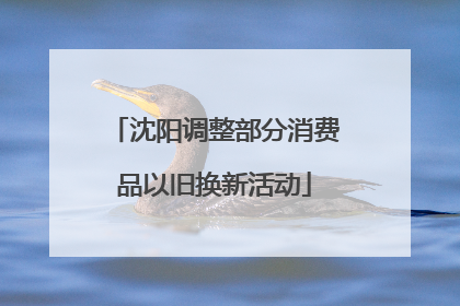 沈阳调整部分消费品以旧换新活动