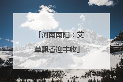 河南南阳：艾草飘香迎丰收