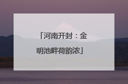 河南开封：金明池畔荷韵浓