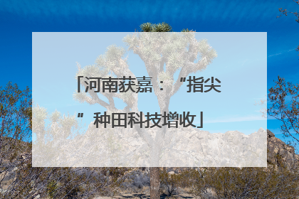 河南获嘉：“指尖”种田科技增收