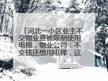 河北一小区业主不交物业费被限制使用电梯，物业公司：不交钱还想用电梯，这钱谁出？