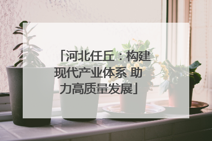 河北任丘：构建现代产业体系 助力高质量发展