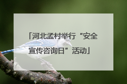 河北孟村举行“安全宣传咨询日”活动