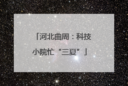 河北曲周：科技小院忙“三夏”