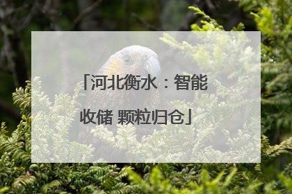 河北衡水：智能收储 颗粒归仓