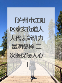 泸州市江阳区泰安街道人大代表新阶力量润桑梓 二次医保暖人心