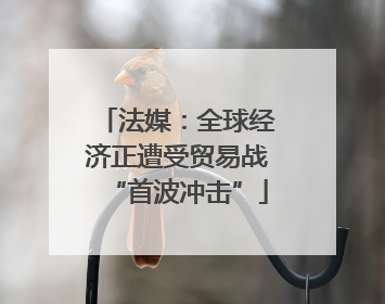 法媒：全球经济正遭受贸易战“首波冲击”