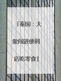泰国：大象闯进便利店吃零食