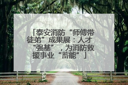 泰安消防“师傅带徒弟”成果展：人才“强基”，为消防救援事业“蓄能”