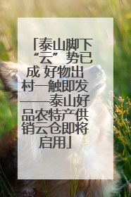 泰山脚下“云”势已成 好物出村一触即发——泰山好品农特产供销云仓即将启用