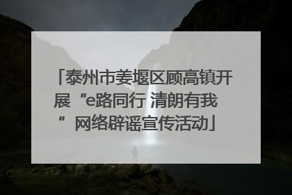 泰州市姜堰区顾高镇开展“e路同行 清朗有我”网络辟谣宣传活动