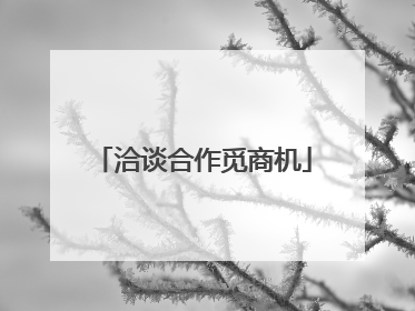 洽谈合作觅商机