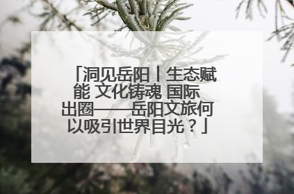 洞见岳阳丨生态赋能 文化铸魂 国际出圈——岳阳文旅何以吸引世界目光？