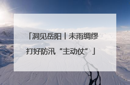 洞见岳阳丨未雨绸缪 打好防汛“主动仗”