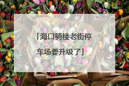 海口骑楼老街停车场要升级了