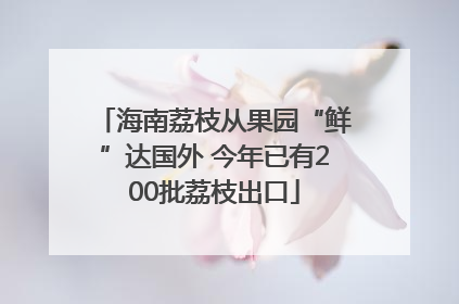 海南荔枝从果园“鲜”达国外 今年已有200批荔枝出口