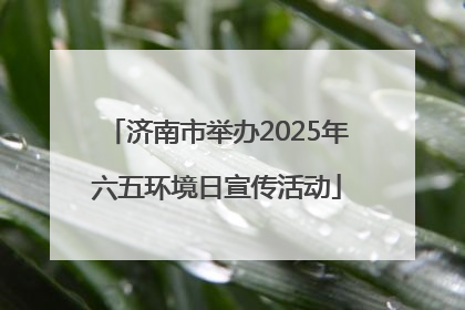 济南市举办2025年六五环境日宣传活动
