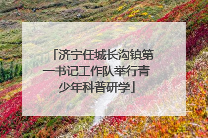 济宁任城长沟镇第一书记工作队举行青少年科普研学