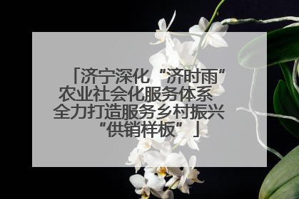 济宁深化“济时雨”农业社会化服务体系 全力打造服务乡村振兴“供销样板”