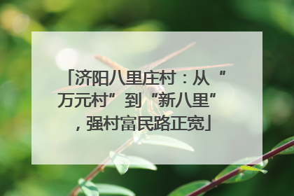 济阳八里庄村：从“万元村”到“新八里”，强村富民路正宽