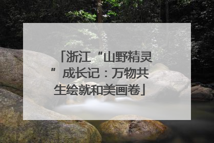 浙江“山野精灵”成长记：万物共生绘就和美画卷