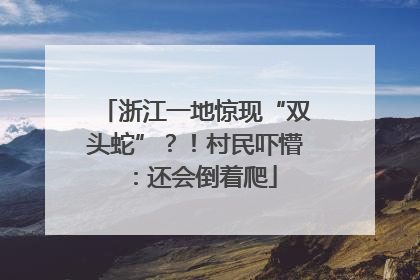 浙江一地惊现“双头蛇”？！村民吓懵：还会倒着爬