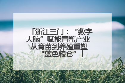 浙江三门：“数字大脑”赋能青蟹产业 从育苗到养殖重塑“蓝色粮仓”