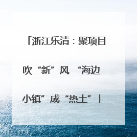 浙江乐清：聚项目吹“新”风 “海边小镇”成“热土”