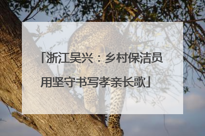浙江吴兴：乡村保洁员用坚守书写孝亲长歌