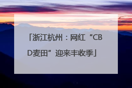 浙江杭州：网红“CBD麦田”迎来丰收季