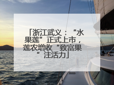 浙江武义：“水果莲”正式上市，莲农增收“致富果”注活力