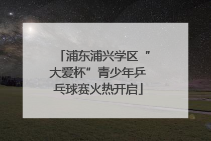 浦东浦兴学区“大爱杯”青少年乒乓球赛火热开启