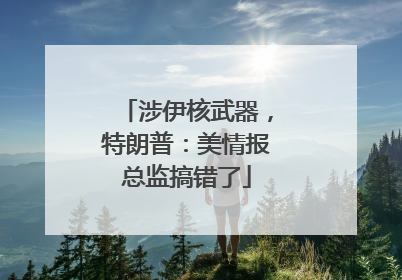 涉伊核武器，特朗普：美情报总监搞错了