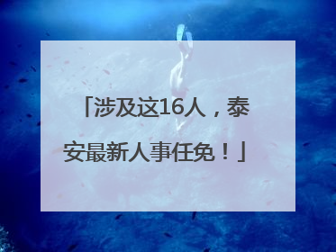 涉及这16人，泰安最新人事任免！