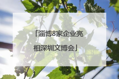 淄博8家企业亮相深圳文博会