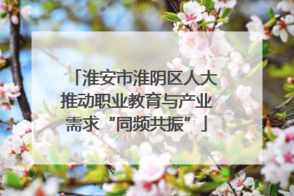 淮安市淮阴区人大推动职业教育与产业需求“同频共振”