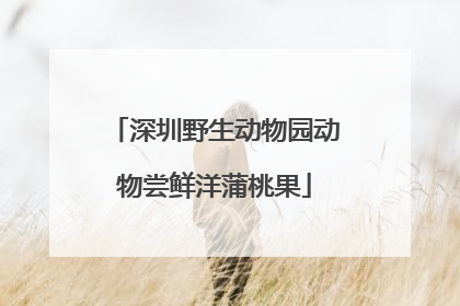 深圳野生动物园动物尝鲜洋蒲桃果