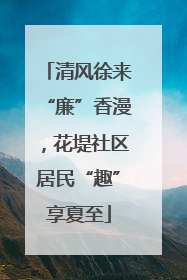 清风徐来“廉”香漫，花堤社区居民“趣”享夏至
