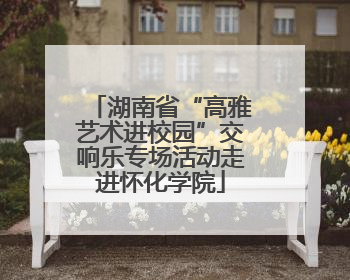 湖南省“高雅艺术进校园”交响乐专场活动走进怀化学院