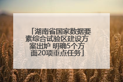 湖南省国家数据要素综合试验区建设方案出炉 明确5个方面20项重点任务