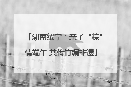 湖南绥宁：亲子“粽”情端午 共传竹编非遗