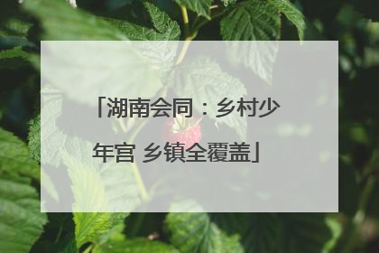 湖南会同：乡村少年宫 乡镇全覆盖