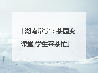 湖南常宁：茶园变课堂 学生采茶忙