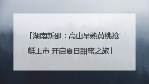 湖南新邵：高山早熟黄桃抢鲜上市 开启夏日甜蜜之旅